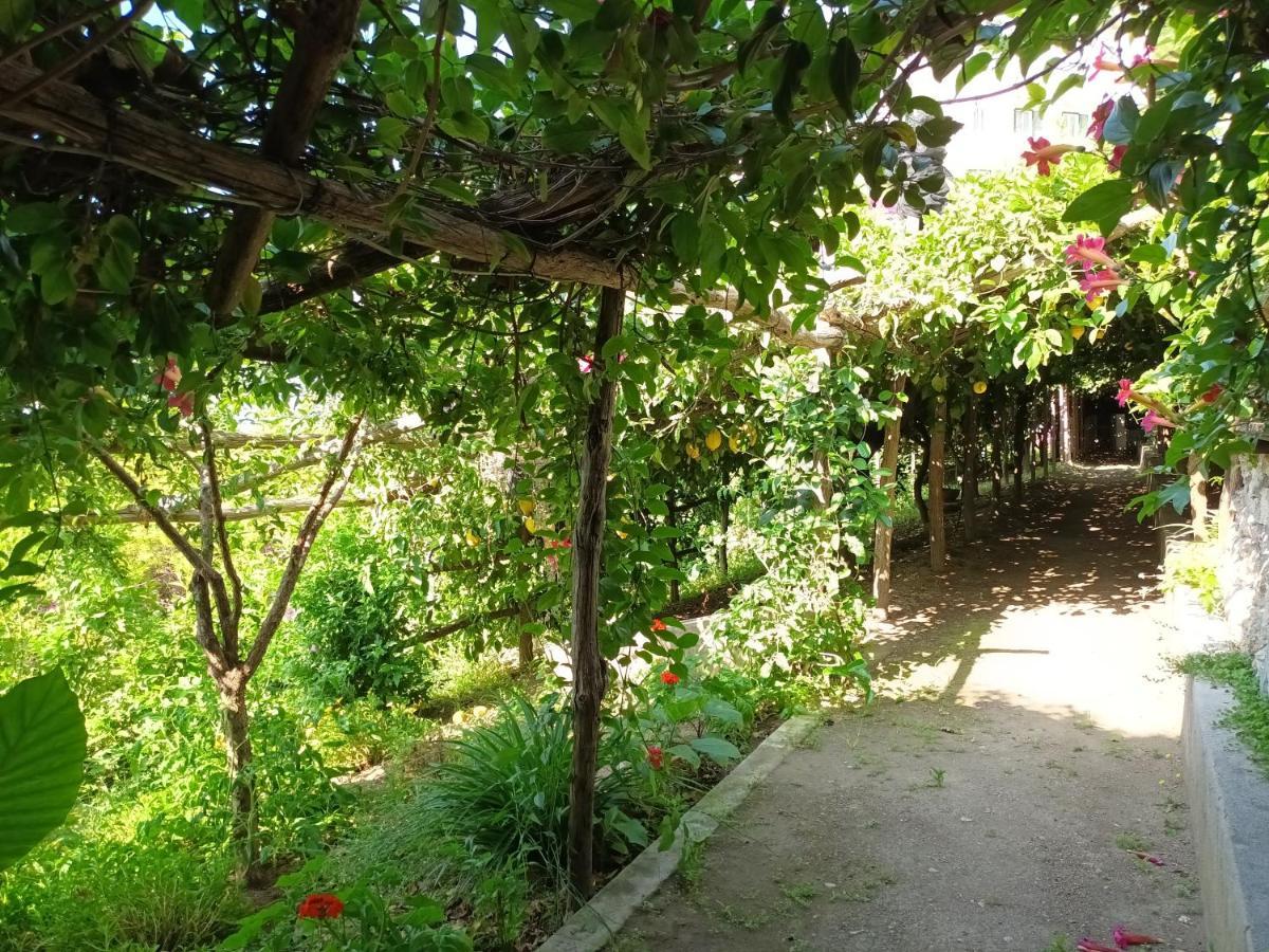 Casa Emi Lejlighed Amalfi Eksteriør billede