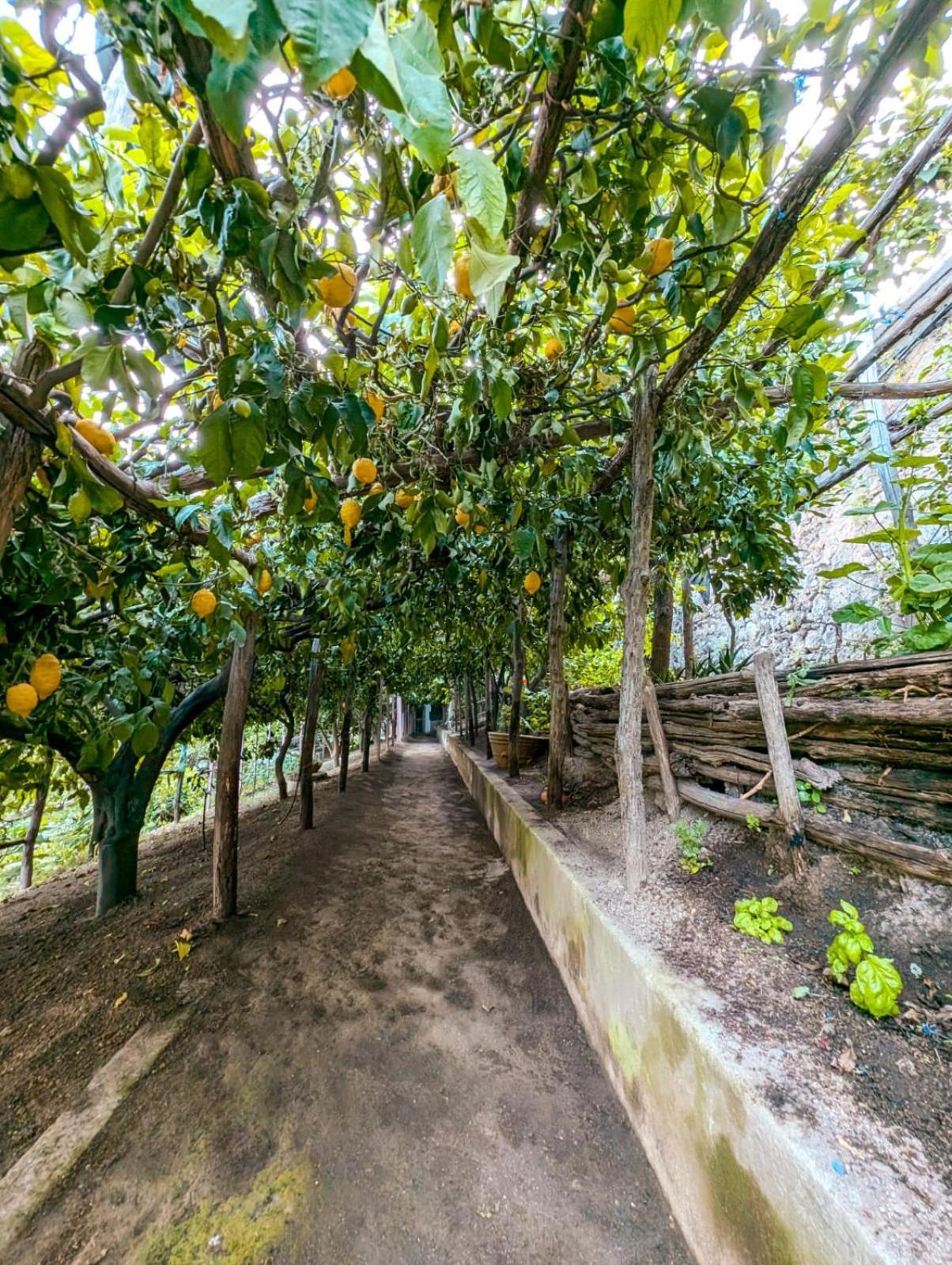 Casa Emi Lejlighed Amalfi Eksteriør billede